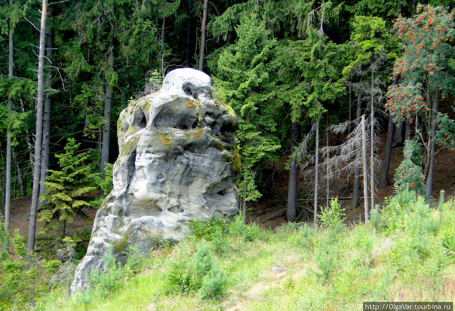 Лесной сторож Йичин, Чехия