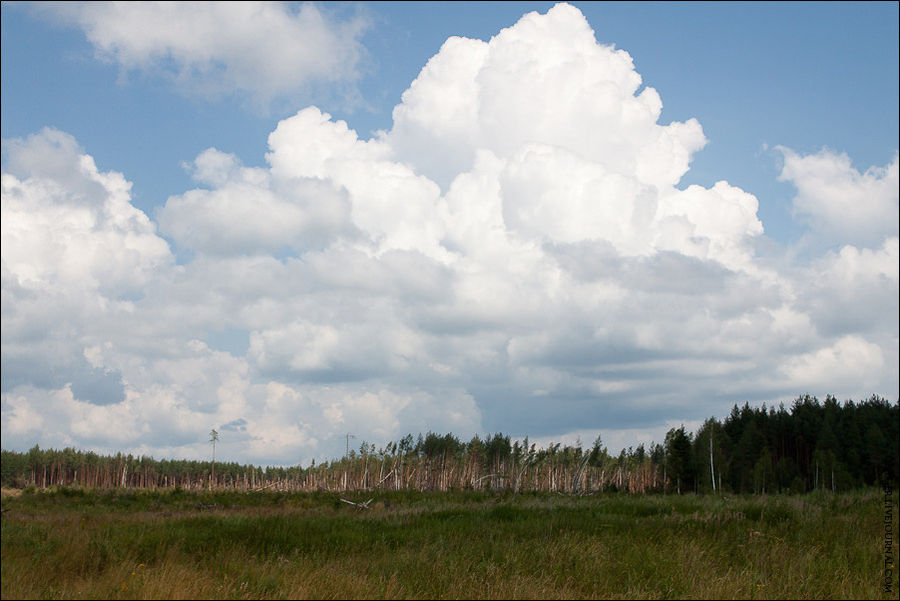 Легендарное болото Плещеево Озеро Национальный Парк, Россия