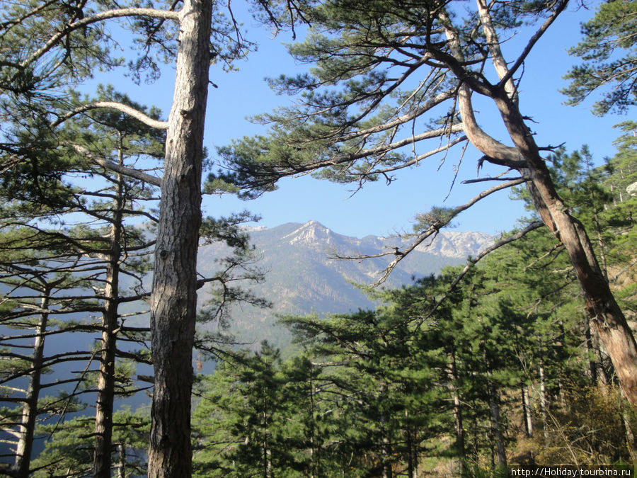 Великолепне Крымские места Ялта, Россия