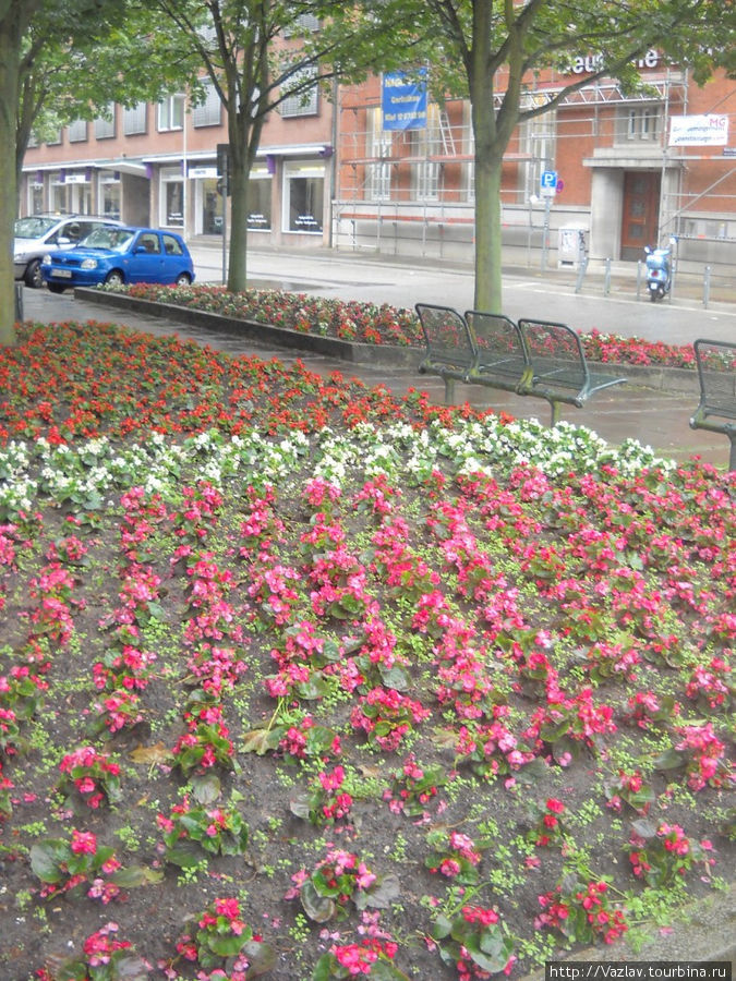 Цветочные шеренги Киль, Германия