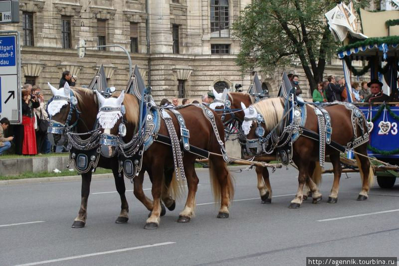 К параду украшают и лошадей Мюнхен, Германия