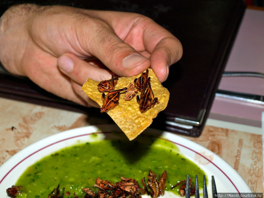 Можно положить их на чипсы Мехико, Мексика