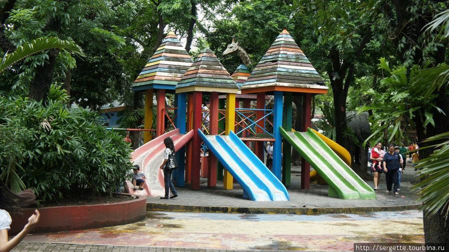 Зоопарк Манила, Филиппины