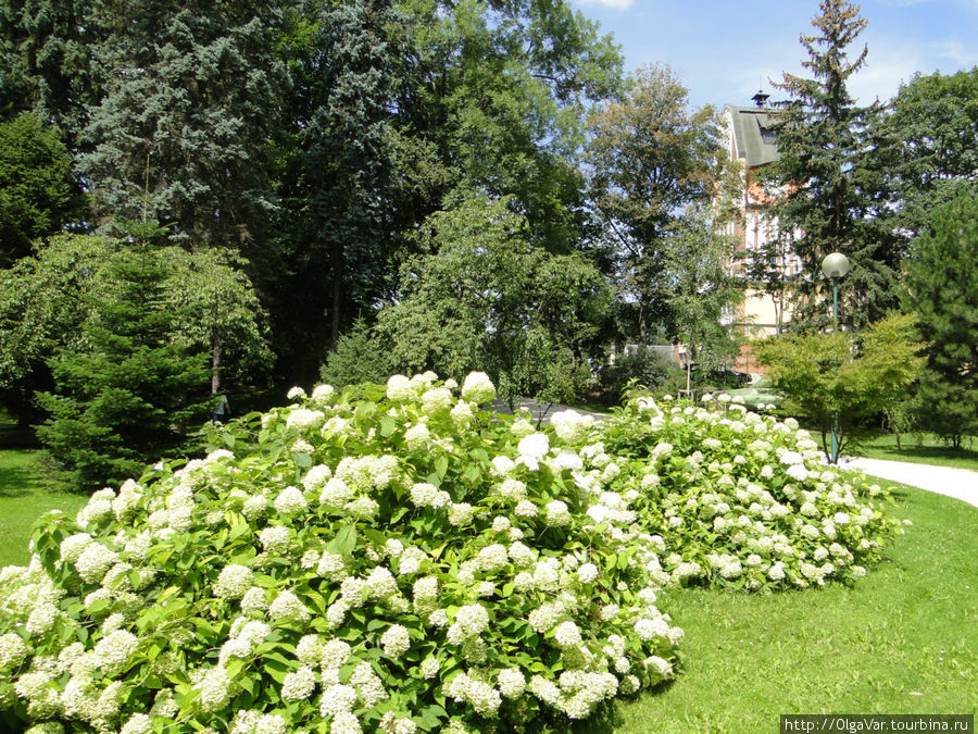 В городе много  садов и парков — Йирасковы сады Градец-Кралове, Чехия