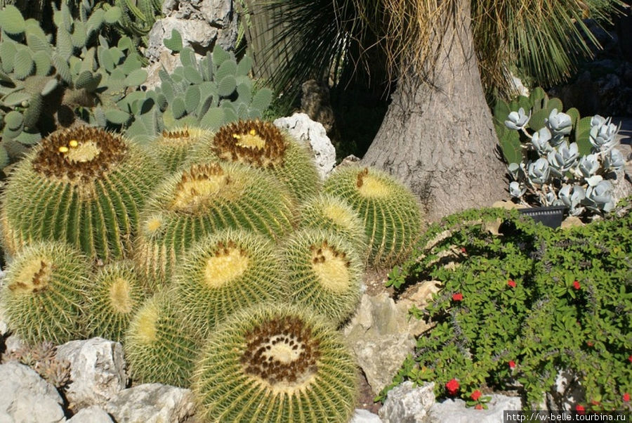 По следам импрессионистов. Laventure de Provence. Прованс-Альпы-Лазурный берег, Франция