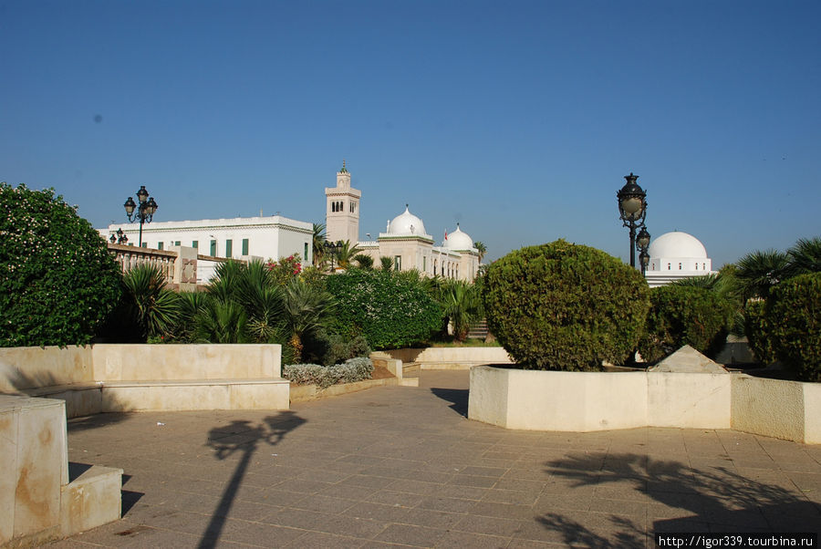 Путешествие по Тунису: Тунис Тунис, Тунис