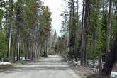 Moose-Wilson Road сама по себе представляет небольшой интерес для посещение — обычная мощенка, идущая через лес...