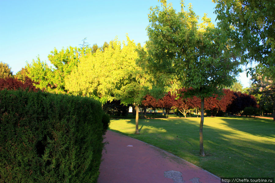 Осте - лучший парк Мадрида Мадрид, Испания