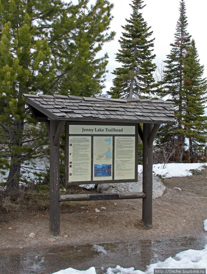 Jenny Lake в мае - лед и лоси на берегу Национальный парк Гранд Тетон, CША