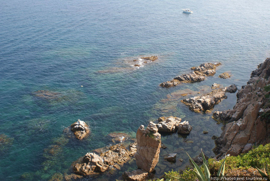 Море и мирт в MariMurtra Бланес, Испания