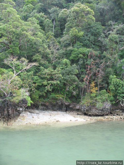 высадка на остров обезьян Лангкави остров, Малайзия