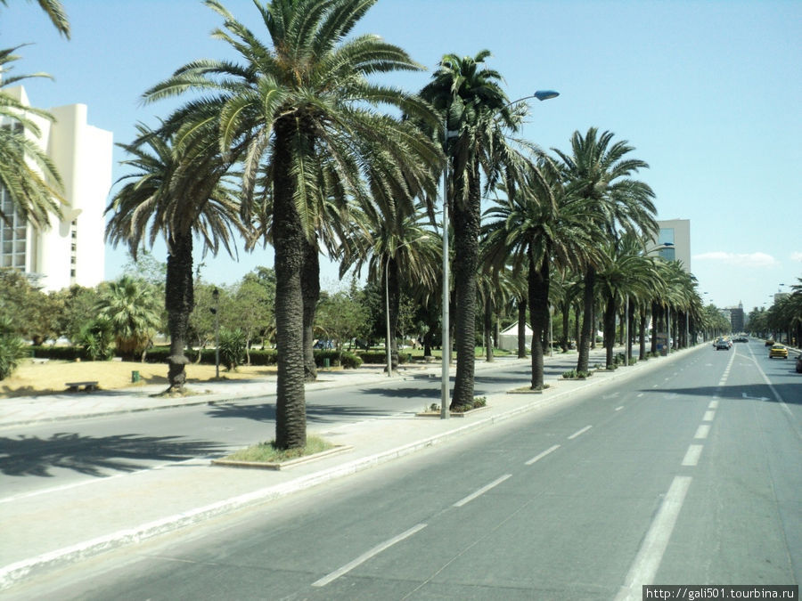 Тунис - маленькая страна, в которую хочется вернуться Тунис