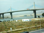 грандиозный мост через залив в районе столицы, а под ним новые посадки оливковых деревьев.