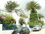 Это симпатичный городок Сиди — Бу- Саид. С 1920г в нем разрешены только два цвета синий и белый. Хотя в Тунисе много домов в таком сочетании цветов, Сиди вызывает у туристов ощущение неповторимости и навсегда сохраняется в памяти.