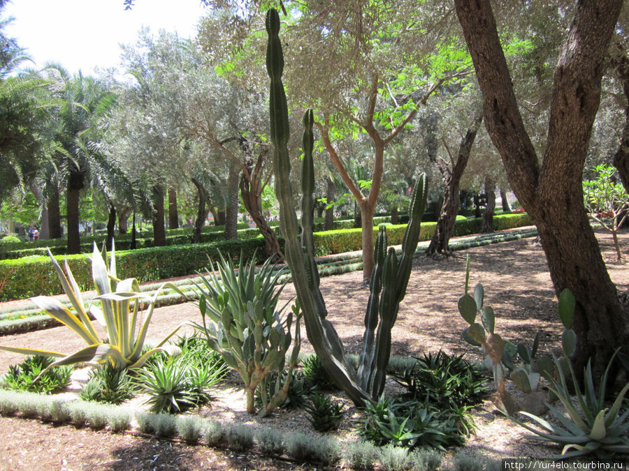 Хайфа и Бахайские сады Хайфа, Израиль