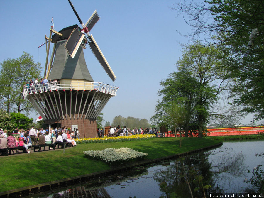 Весеннее чудо Голландии Кёкенхоф, Нидерланды