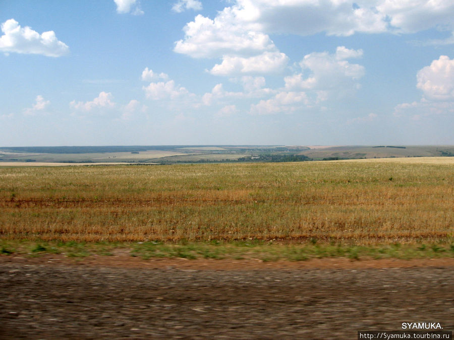 За окном мелькала порыжевшая трава. Казань, Россия