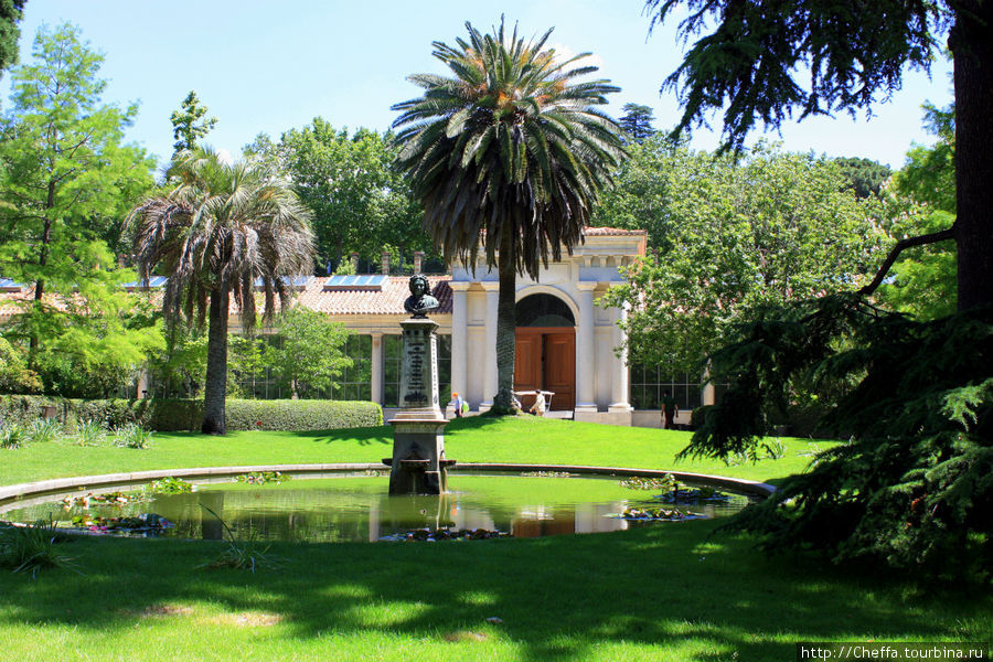 Короткий визит в Королевский ботанический сад Мадрида. Мадрид, Испания