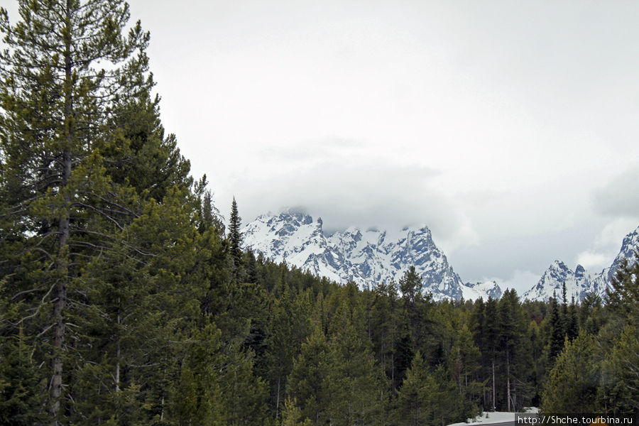 Teton Park Road - виды в лобовое стекло Национальный парк Гранд Тетон, CША