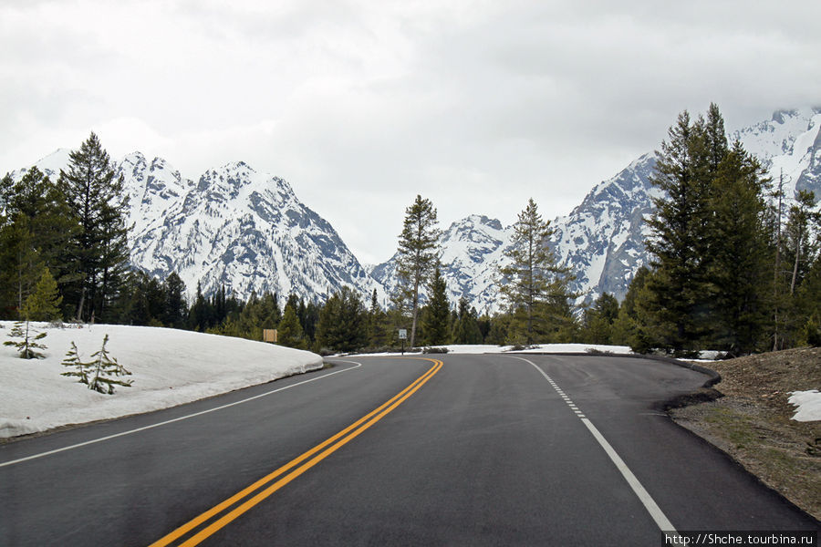 Teton Park Road - виды в лобовое стекло Национальный парк Гранд Тетон, CША