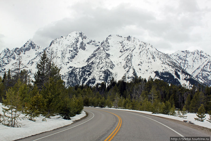 Teton Park Road - виды в лобовое стекло Национальный парк Гранд Тетон, CША