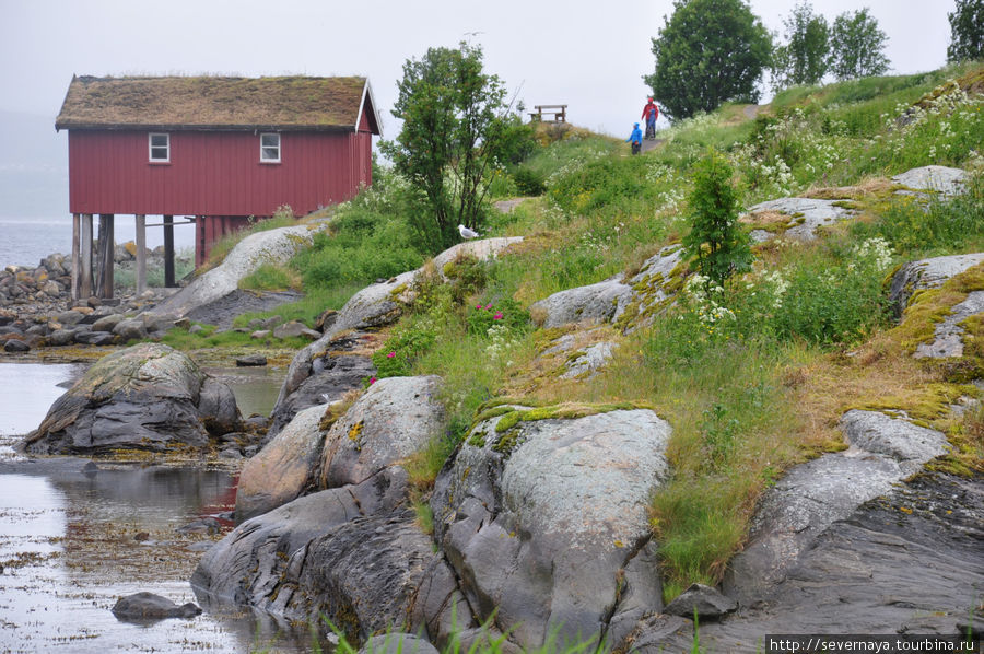 Водоворот Saltstraumen и переезд на Лофотены Норвегия