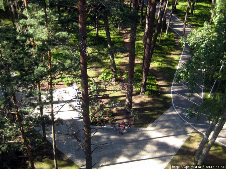 Лесопарк Дзинтари и смотровая площадка Юрмала, Латвия