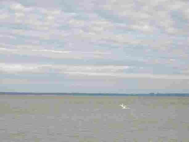 Городок расположен на косе. С одной стороны — залив, с другой — море. На фотке — залив. Крыница-Морска, Польша