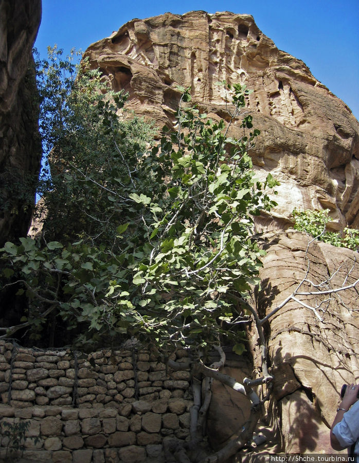 Такие кладки перекрывают боковые ветви каньона, что бы во время сильных дождей сдерживать потоки воды, и вся вода не шла прямо в город Петра, Иордания