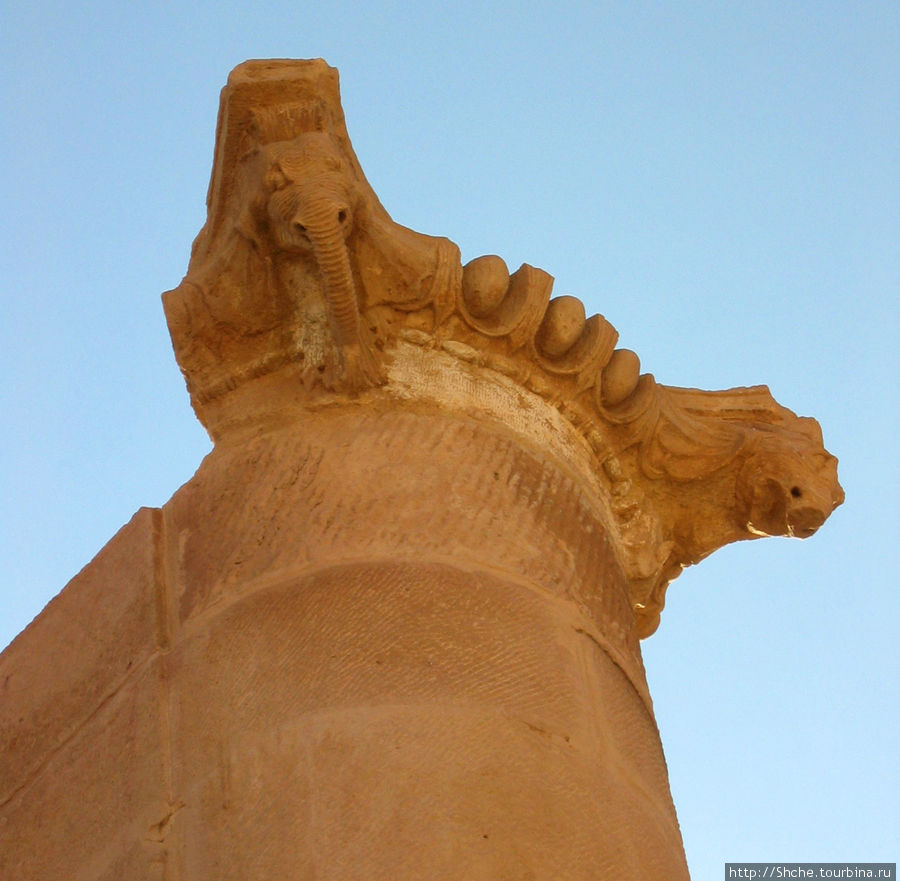 редкий элемент — слон на римской колонне Петра, Иордания