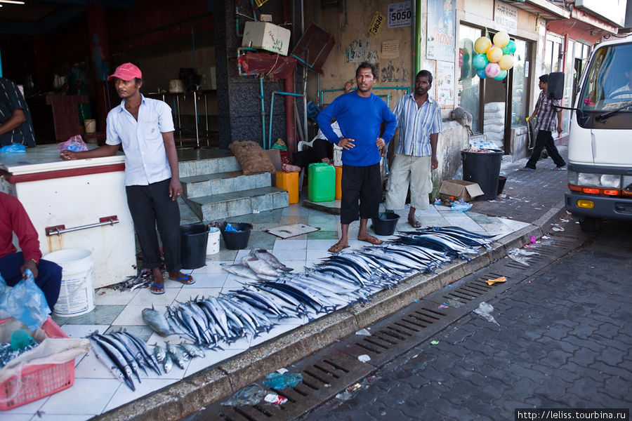 Рыбный рынок. Мале, Мальдивские острова