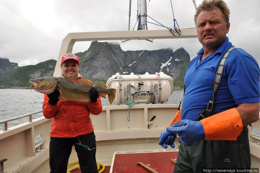Рыбалка на Лофотенах и китовое сафари Норвегия