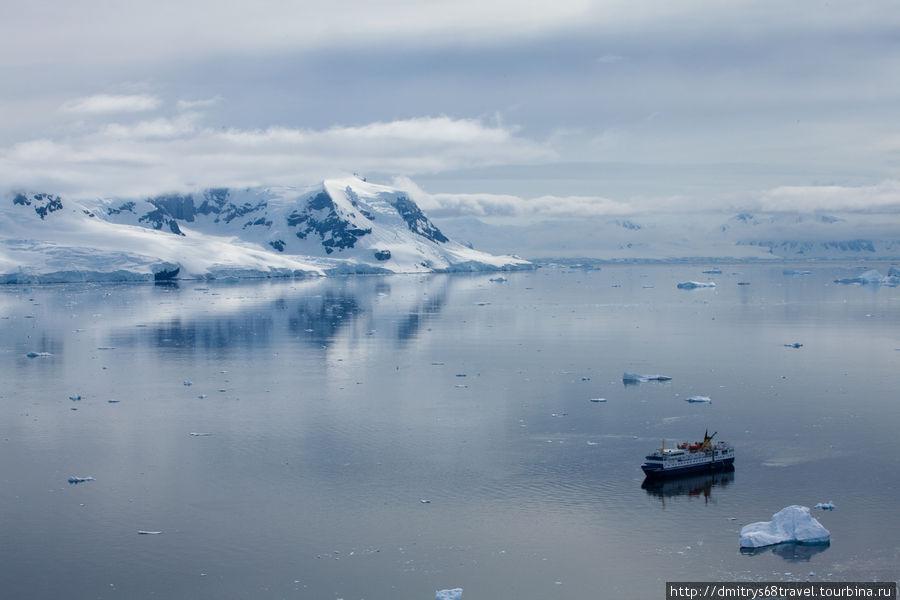 Антарктида — высадка в заливе Neko. Залив Неко, Антарктида