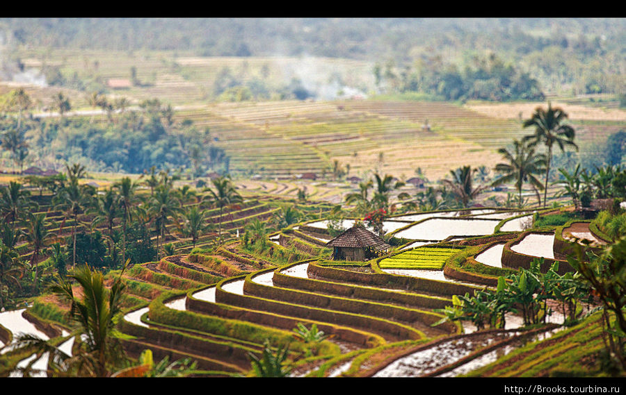 Индонезия. Бали. Бали, Индонезия