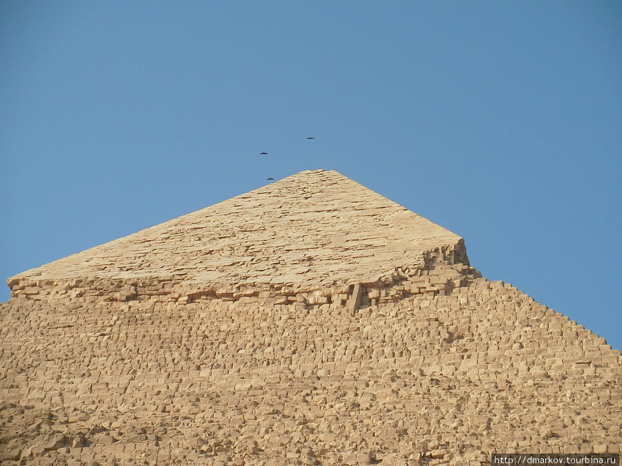 Парящие птицы над вершиной Второй пирамиды (пирамиды Хафра). Каир, Египет