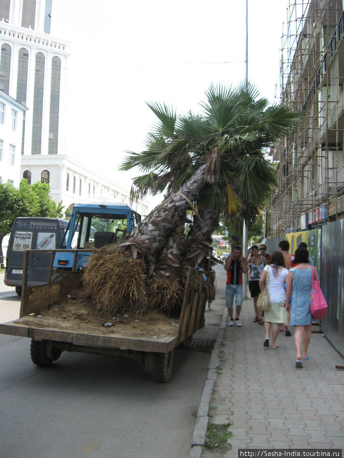 Батуми Батуми, Грузия