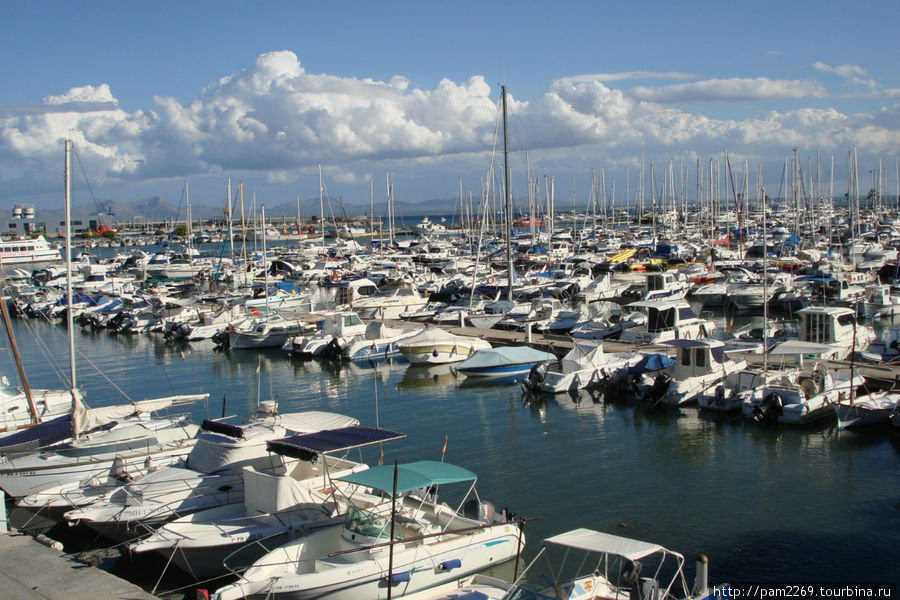 много много лодок Порт-Алькудия, остров Майорка, Испания