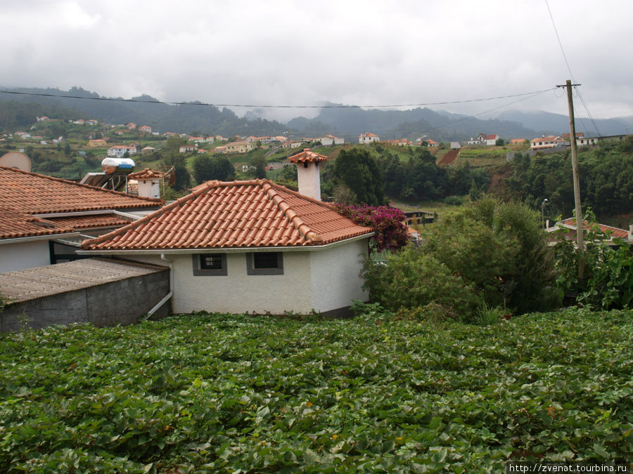 Крестьянские домики Сантаны Сантана, Португалия