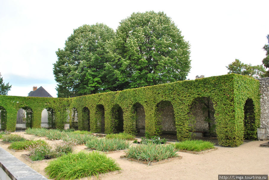 Королевский сад. Блуа, Франция