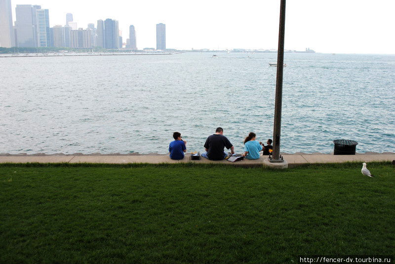 Семейный пикник по-чикагски Чикаго, CША