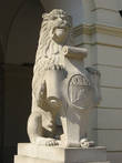 Лев возле мэрии Львова
