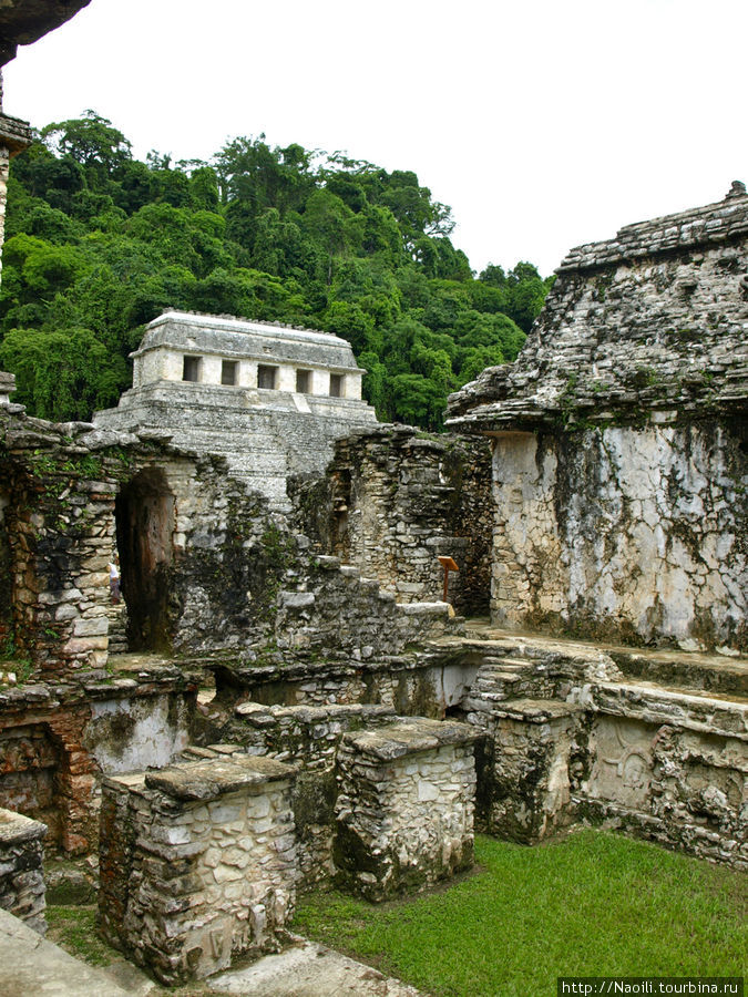 Королевский дворец майя с акведуком Паленке, Мексика