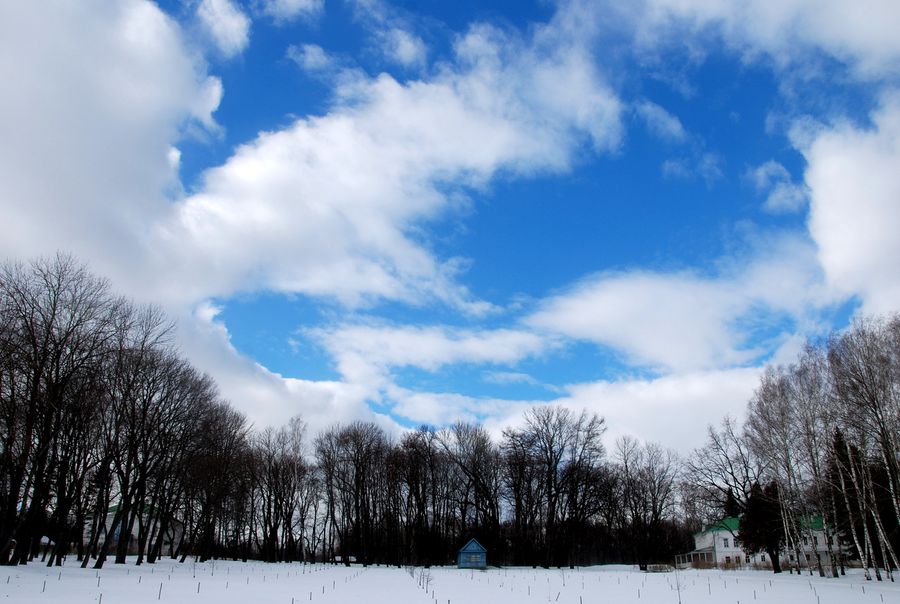 Ясная поляна — зимой и летом разным цветом Ясная Поляна, Россия
