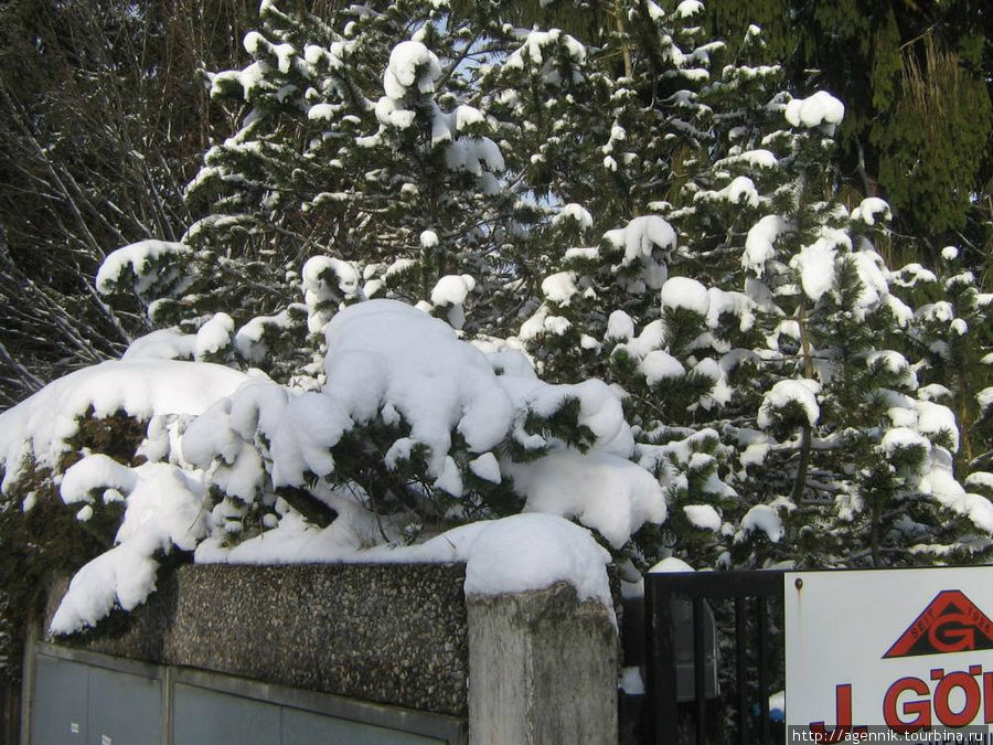 Зима 2010 Унтерхахинг, Германия