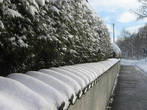 Ограда у церкви зимой