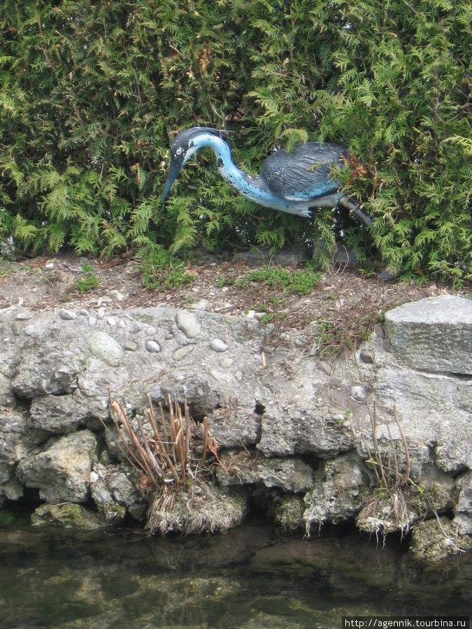 Синяя птиуа Унтерхахинг, Германия
