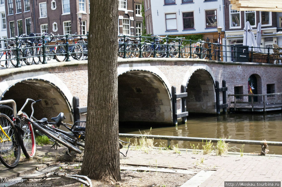 Амстердам - укуренный город велосипедов и зомби. Амстердам, Нидерланды