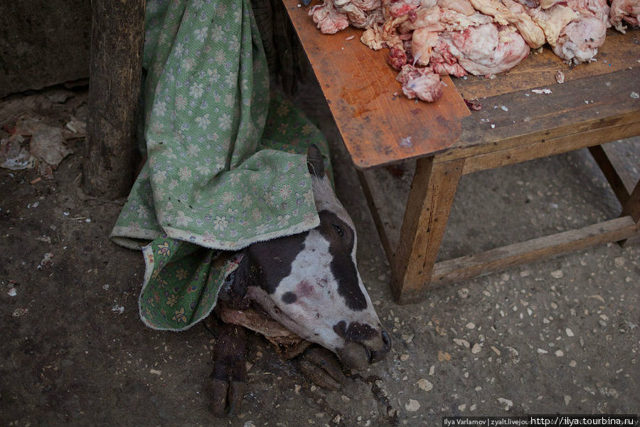 Свежее мясо, еще тёпленькое. Мазари-Шариф, Афганистан