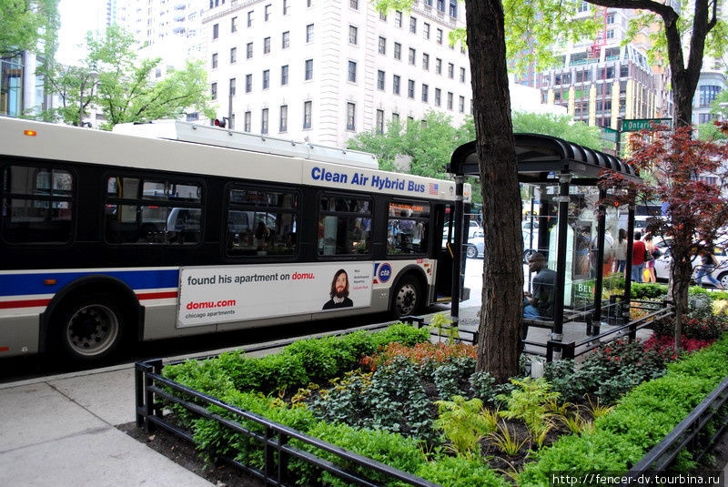 А вот и экологически чистый автобус Чикаго, CША
