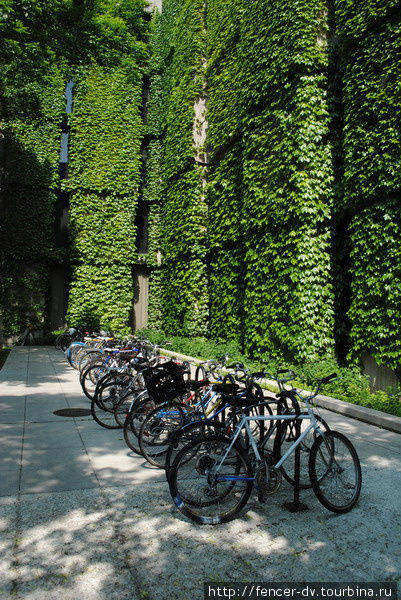 Велосипеды тоже пользуются популярностью Чикаго, CША